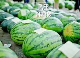 吃瓜比赛每日反差,每日反差笑料连篇